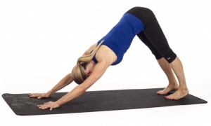 dog-posture-head-down-flexibility Yoga