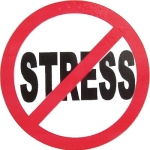 Commencer le Yoga permet de vaincre le Stress