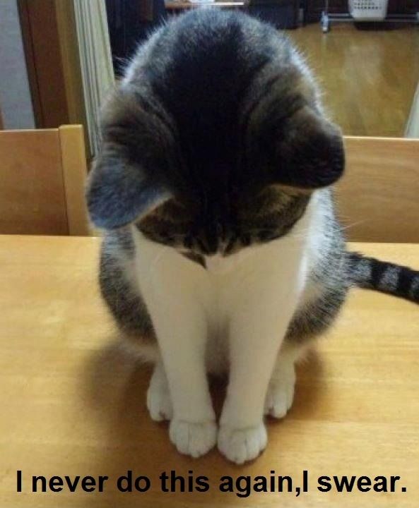 Виноватый человек картинки. Самый виноватый человек. Мужчина смотрит вниз фото. Виновный человек фото. Осуждение человека.