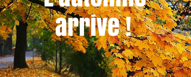 automne-yoga-ayurveda