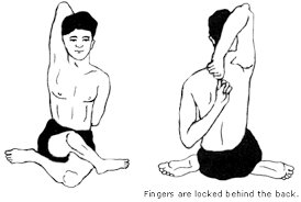 hommes-yoga-posture-vache
