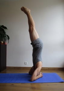 xavier-martin-posture-yoga