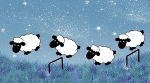 saute-mouton-sommeil