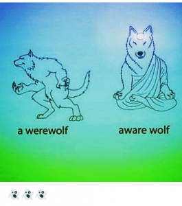 aware-wolf-a-werewolf