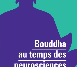 bouddha neurosciences méditation yoga